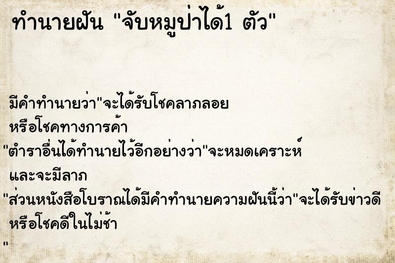 ทำนายฝัน จับหมูป่าได้1 ตัว